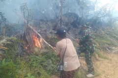 Penanganan Kebakaran Hutan didesa Apung Oleh Satgas BPBD Beserta Tim Gabungan TNI dan Masyarakat